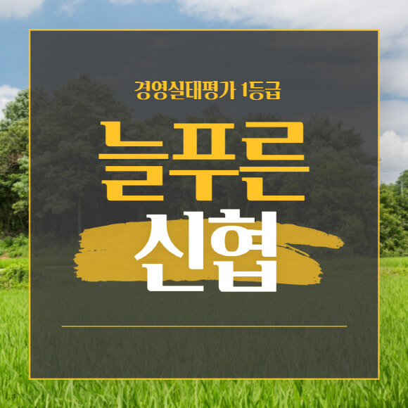  제주 늘푸른 신협 유니온 특판 정기예탁금 6개월 6.2% 12개월 6.4% 상품