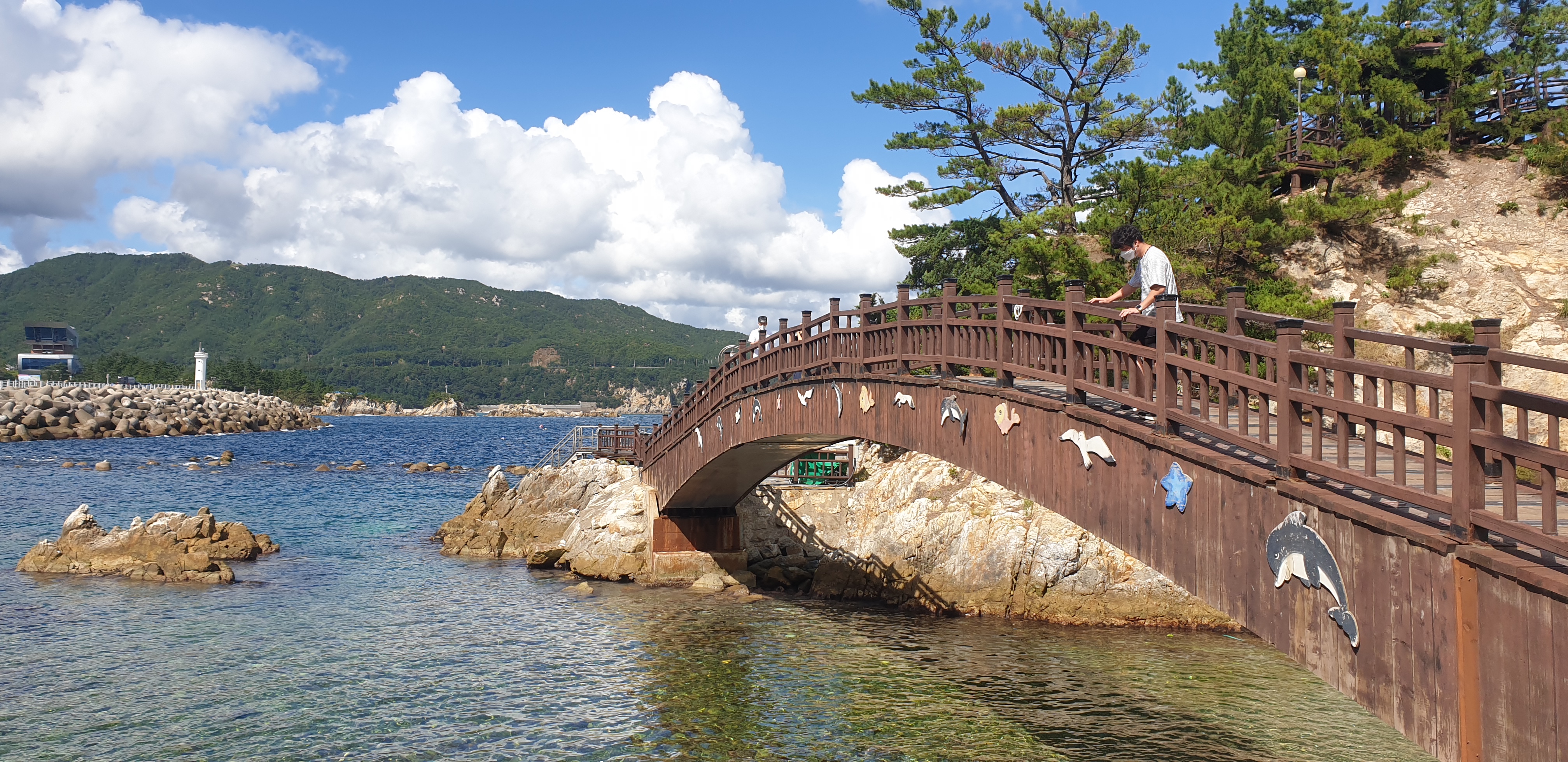 강원 삼척 장호항 : 동양의 나폴리