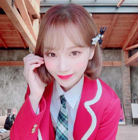 채원 이미지