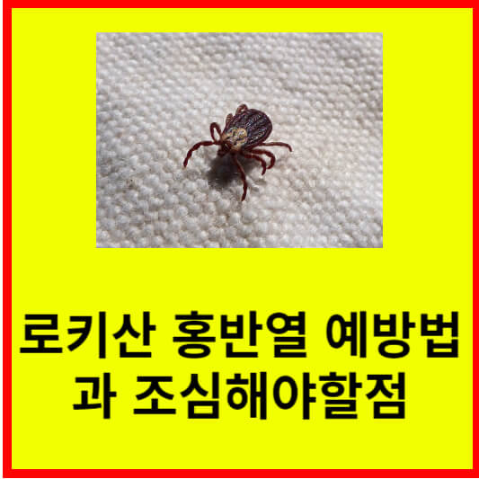 로키산-홍반열-예방법과-조심해야할점