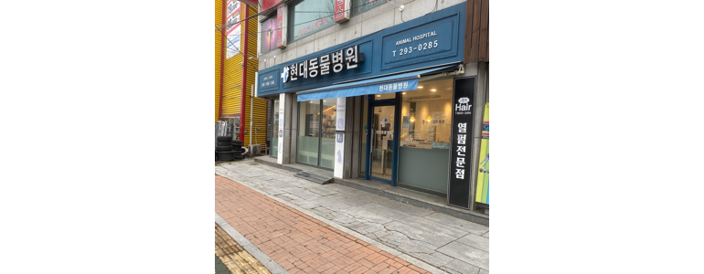 수원 권선구 동물병원