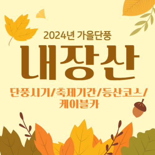 내장산-단풍-절정시기-및-축제기간-등산코스-케이블카-총정리