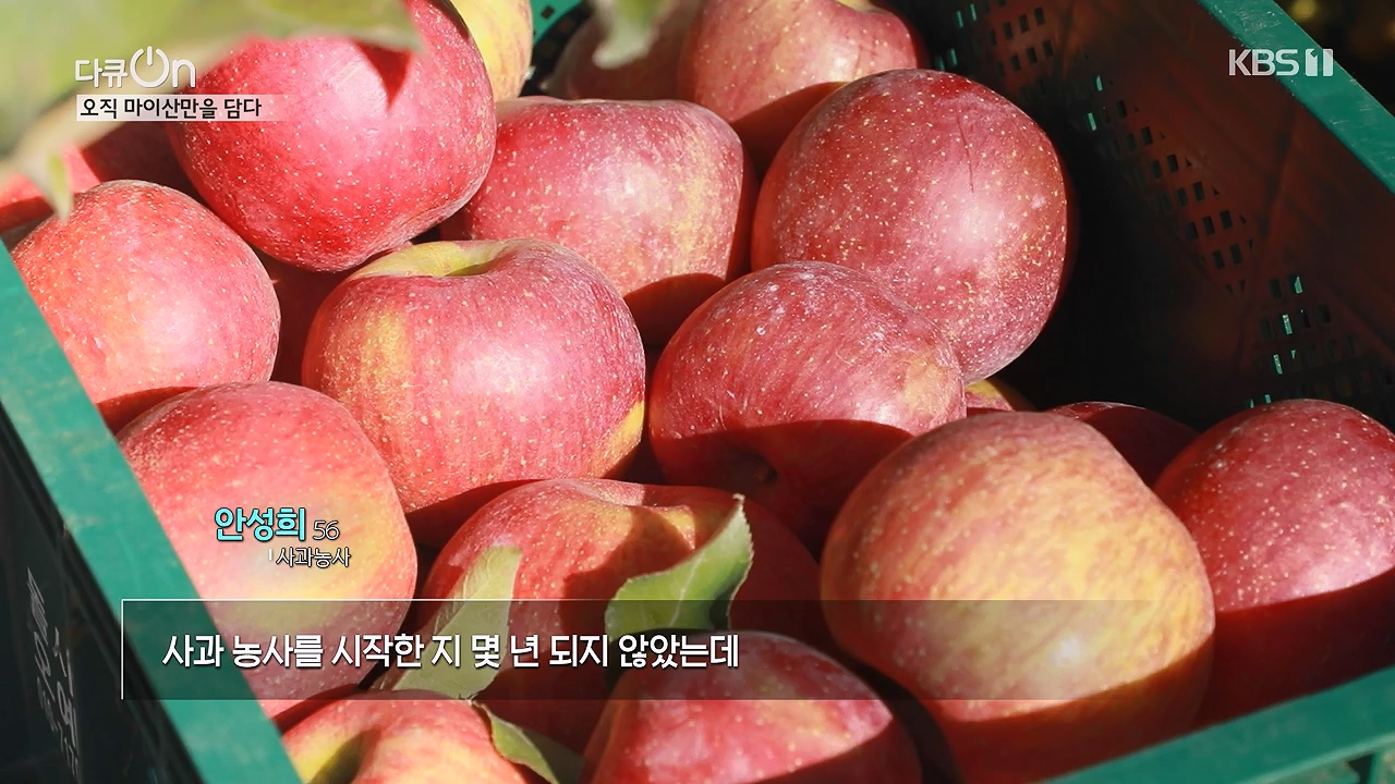 다큐 온.E215.230917p-NEXT.mp4_20230922_213541.565.jpg