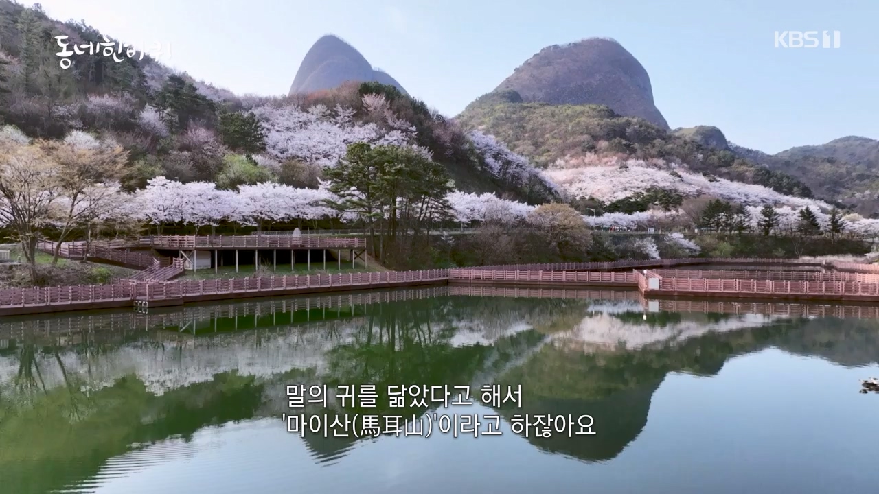 동네 한 바퀴.E272.240505p-NEXT.mp4_20240505_154625.942.jpg