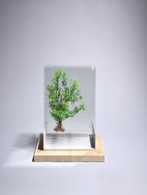  [공연전시] 청주 무심천 주변 기록 - 2창수 16번째 개인전