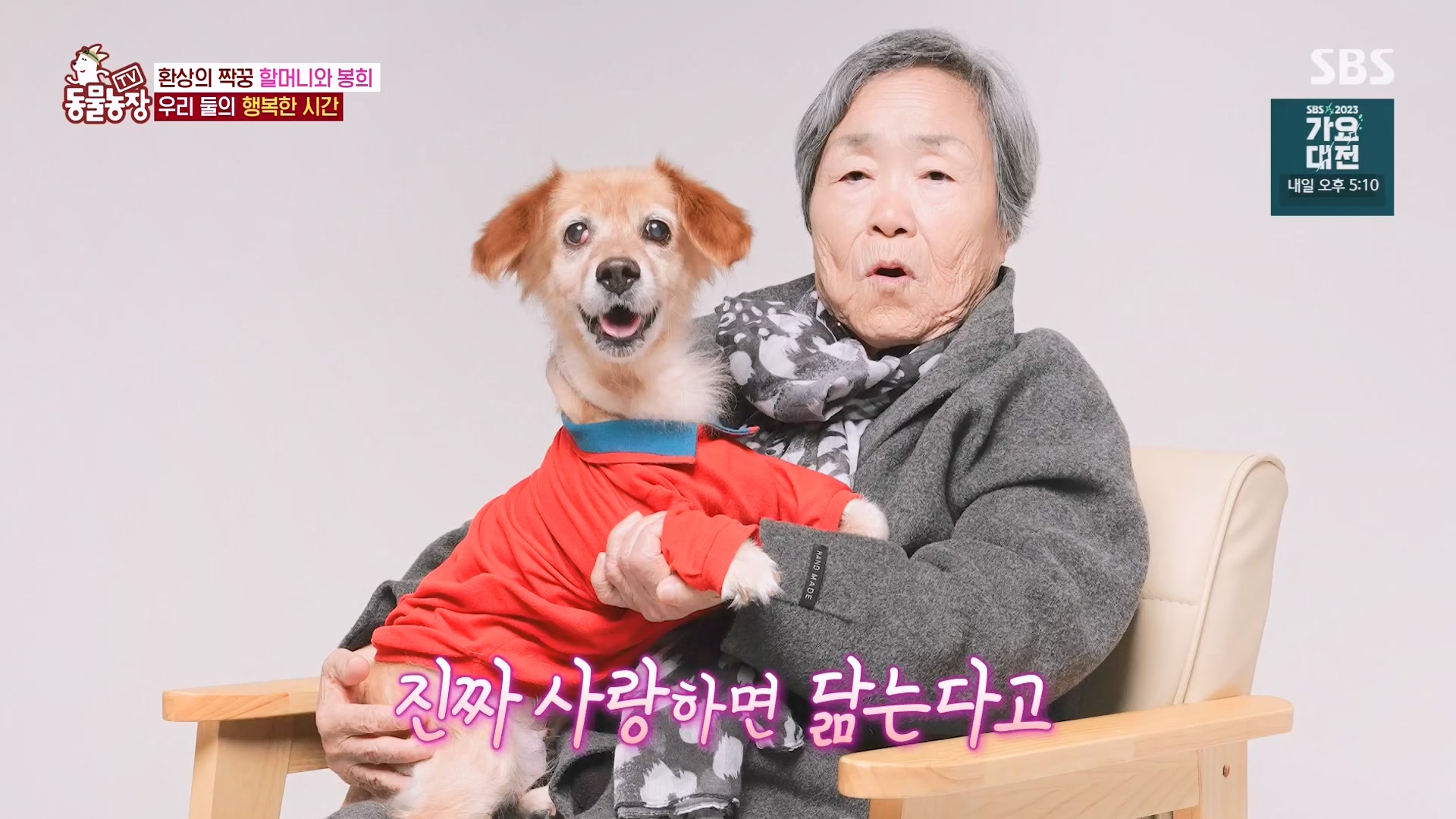 TV 동물농장.E1151.231224p-NEXT.mp4_20231224_154150.837.jpg