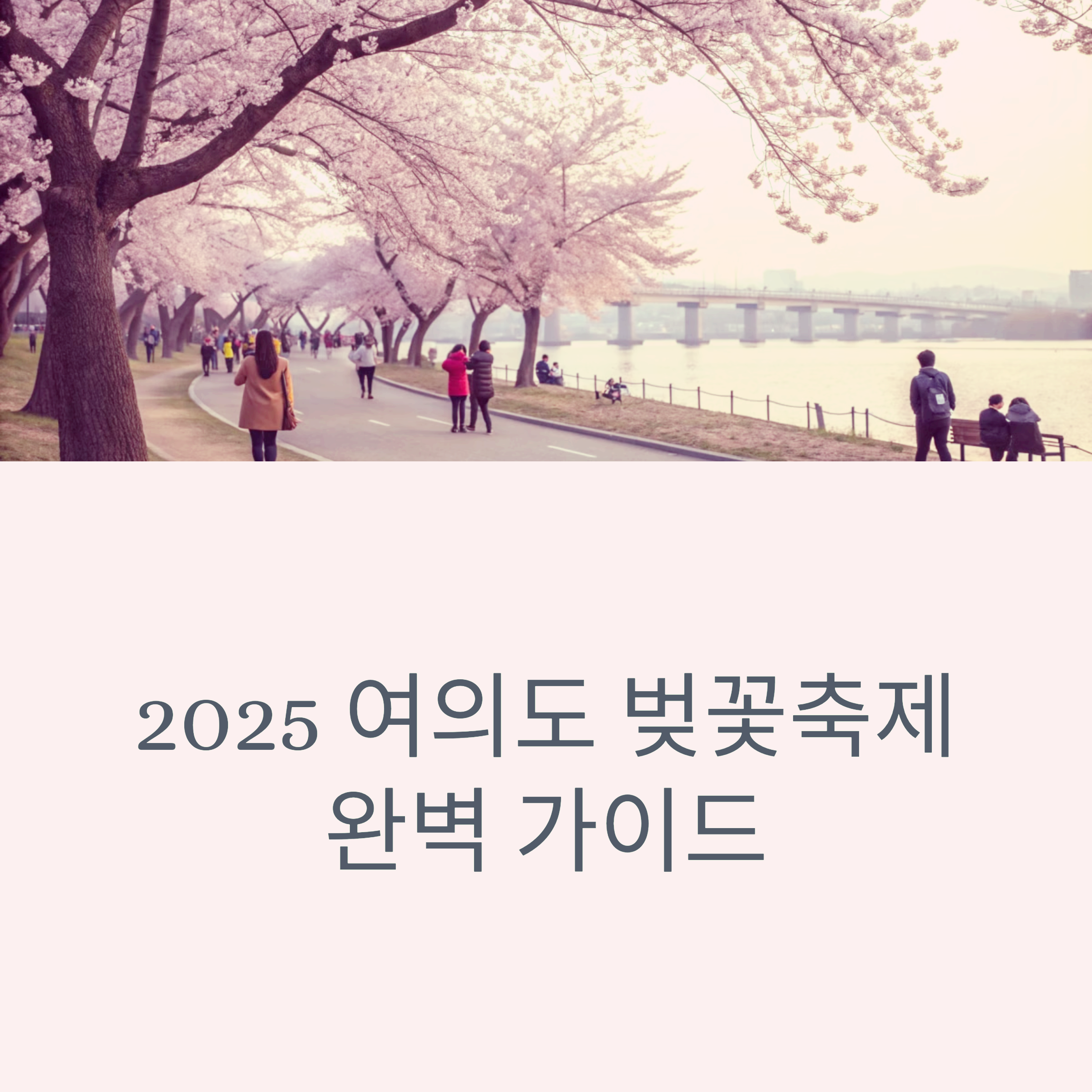 4월 첫 주 여의도 벚꽃 개화! 주차 팁부터 맛집까지 완벽 정리 썸네일 이미지