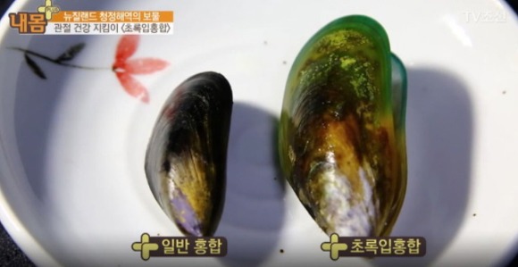  초록입홍합의 효능 및 부작용