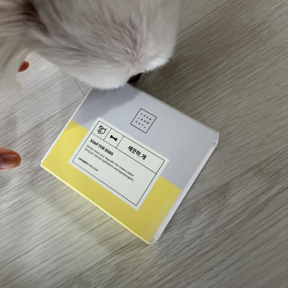 눈물 깔끔한 관리 도전! 16