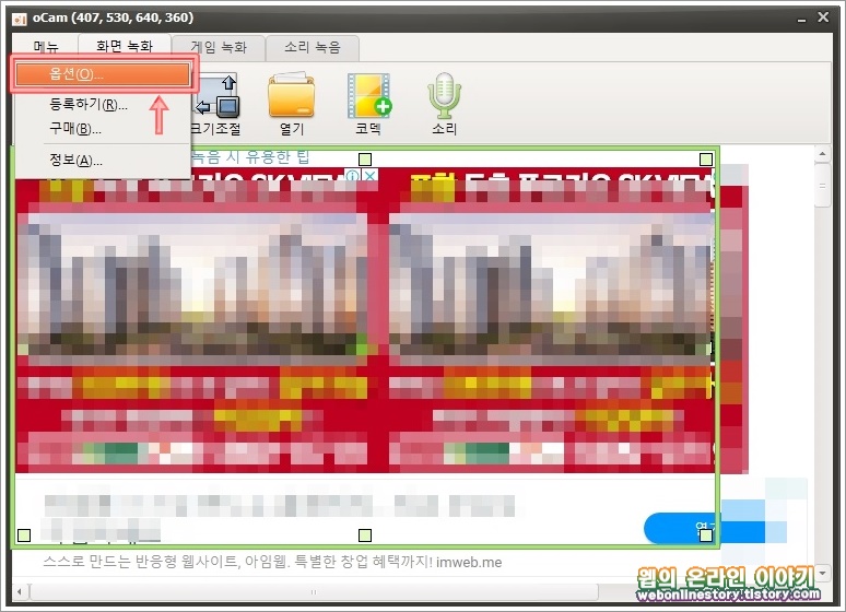옵션 기능 설정