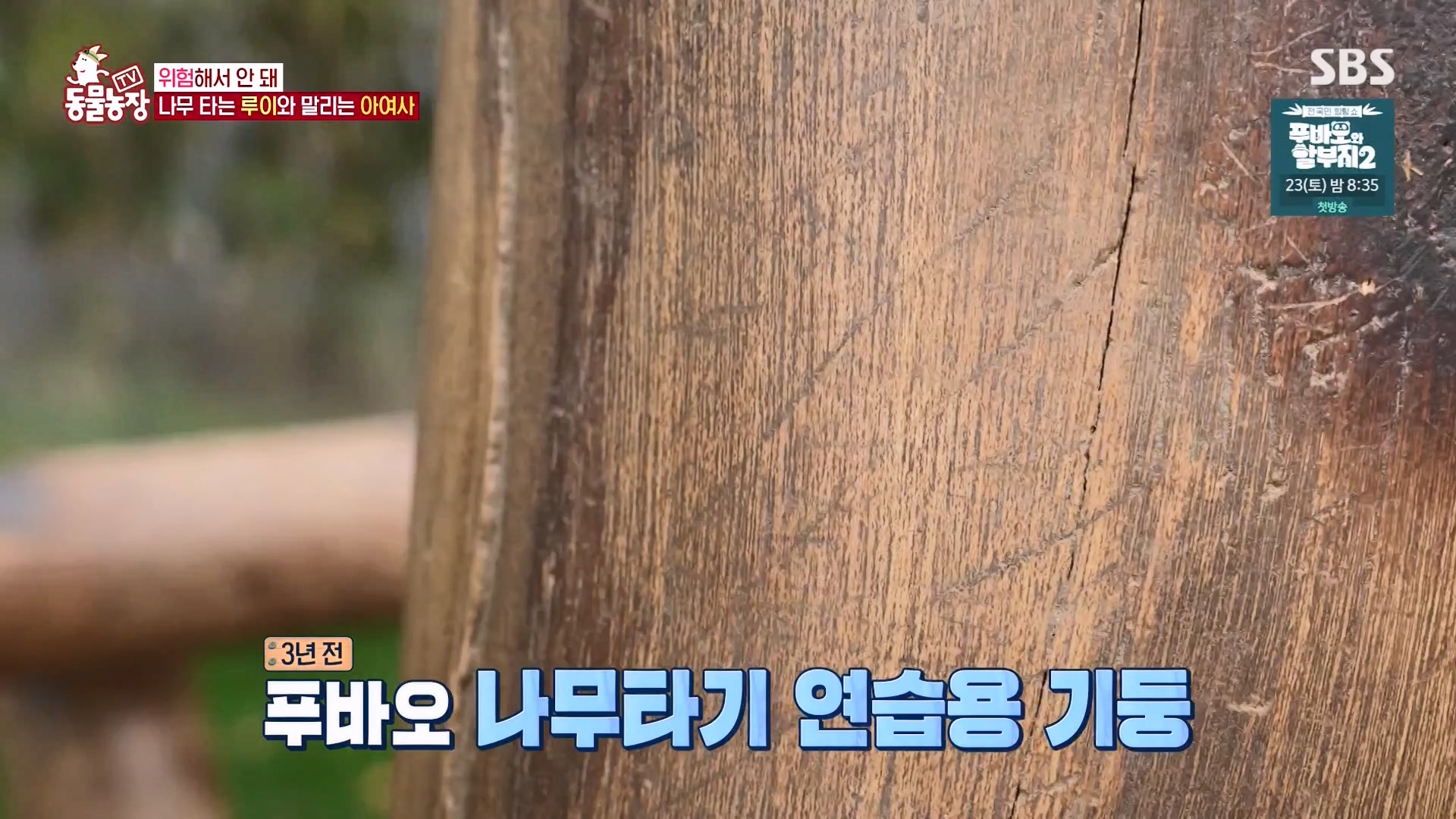 TV 동물농장.E1163.240317p-NEXT.mp4_20240317_171058.426.jpg