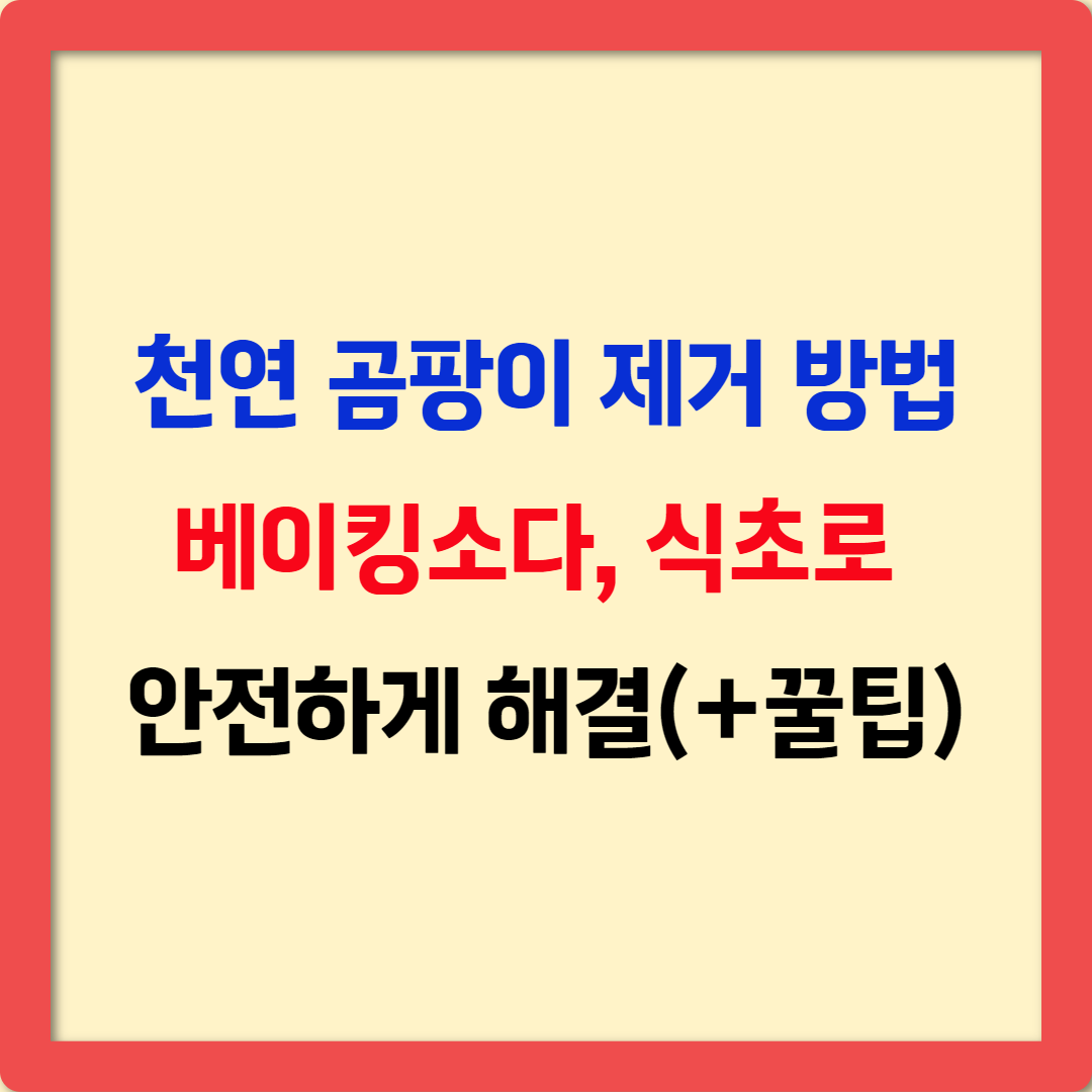 천연 곰팡이 제거 방법 베이킹소다, 식초로 안전하게 해결하는 꿀팁!