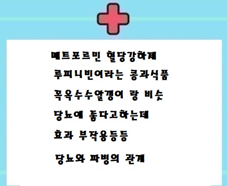  루피니빈이라는 콩과식품(당뇨에 좋다)