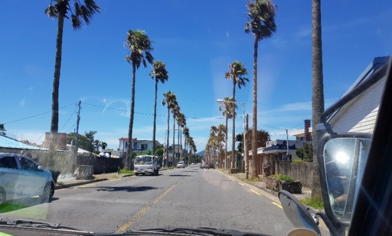 제주버스노선 2020.09 제주 800번 800-1번 3