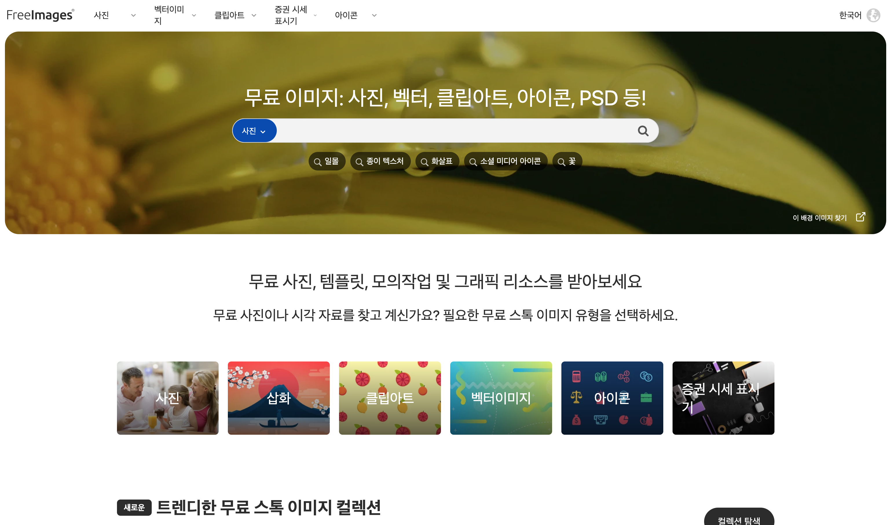 무료이미지