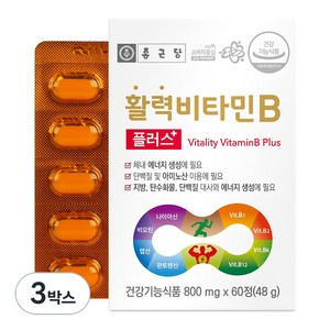 활성비타민 추천