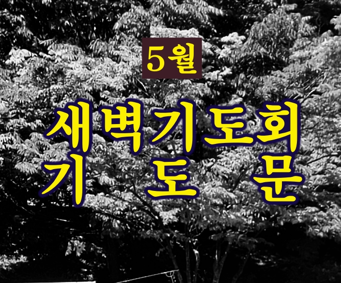  5월 새벽기도회 기도문 모음