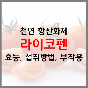  천연 항산화제 라이코펜 효능, 섭취 방법, 섭취량, 부작용