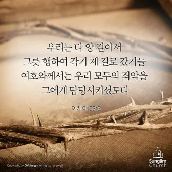 이사야 53장 고난 묵상_26