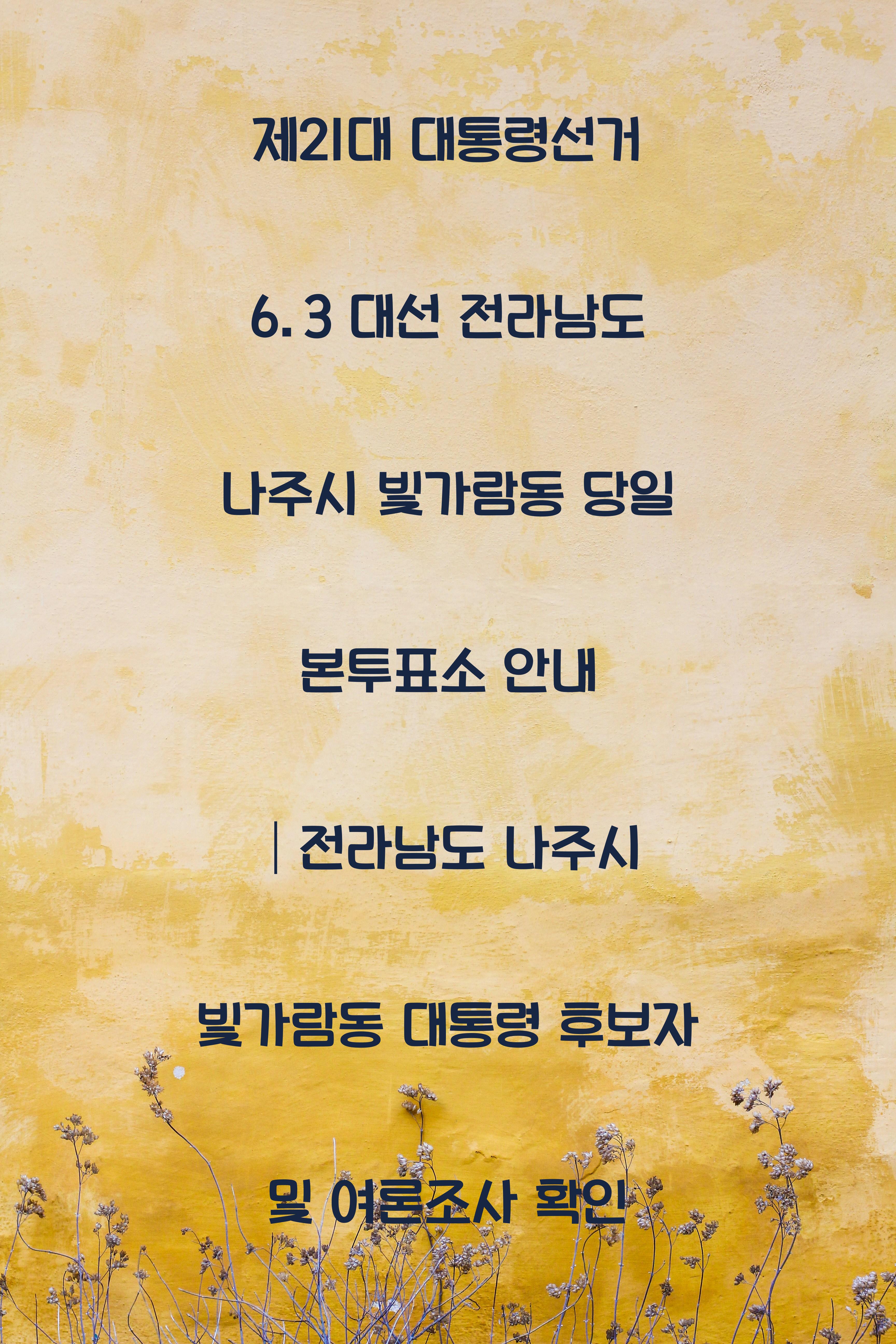 제21대 대통령선거 6.3 대선 전라남도 나주시 빛가람동 당일 본투표소 안내 │전라남도 나주시 빛가람동 대통령 후보자 및 여론조사 확인