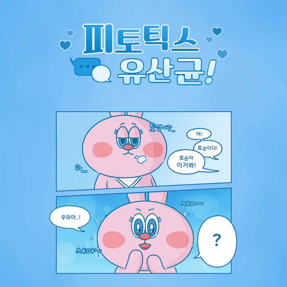  피토틱스 유산균 정확한 후기 알아보자(안보면 손해)
