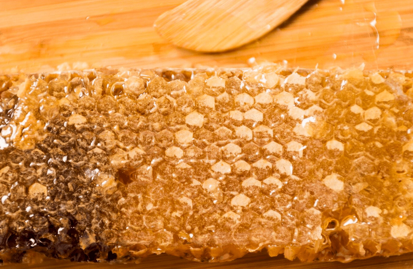 꿀이 가득한 벌집 덩어리