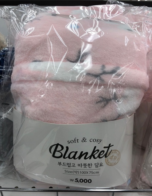 다이소 따뜻한 겨울담요