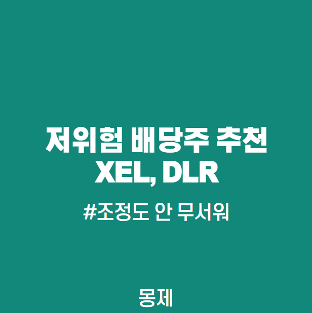  배당주 추천 2가지(XEL, DLR)- 조정시 리스크 낮은 주식