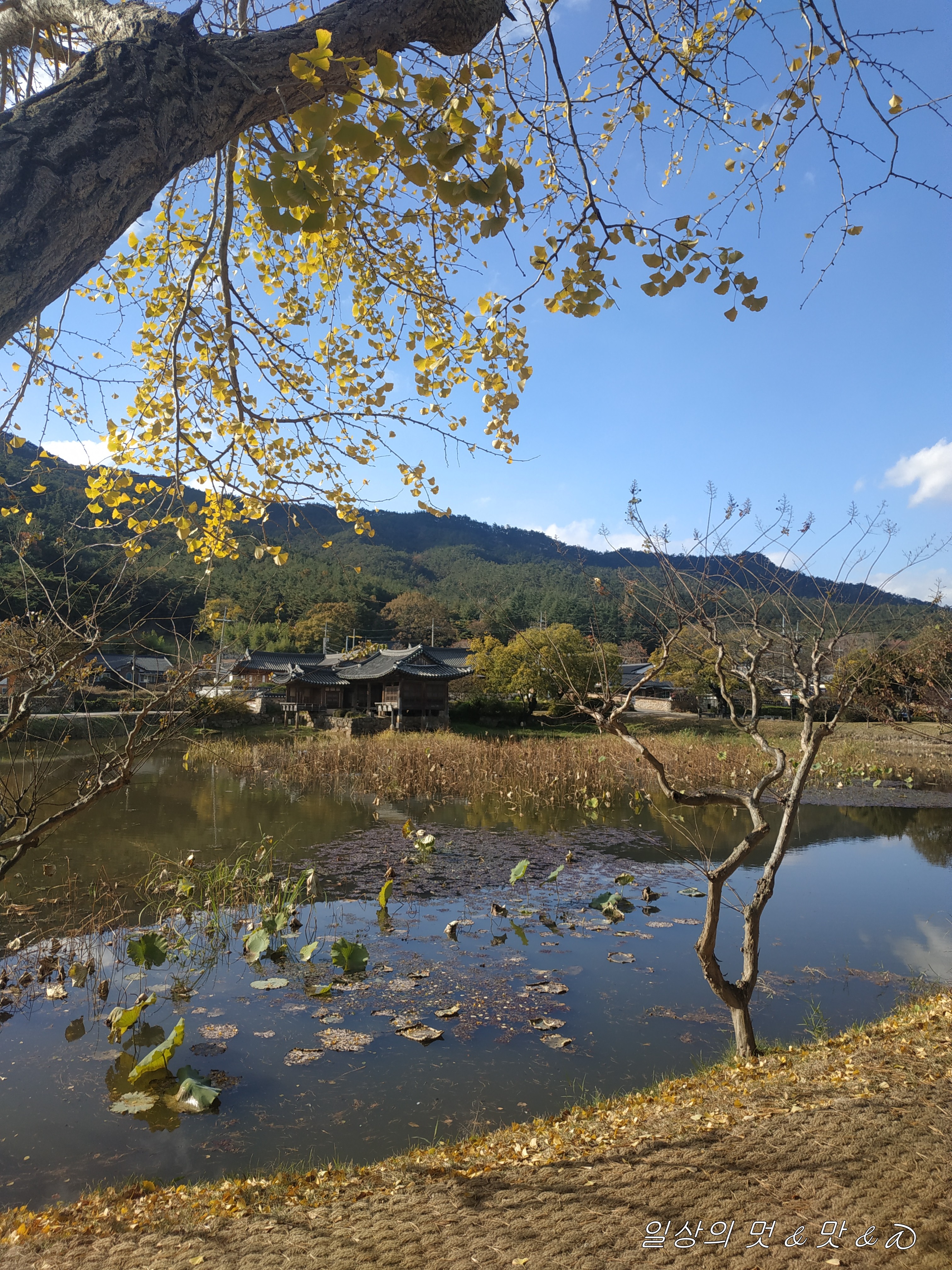 연못 절경