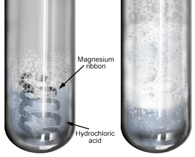 마그네슘이 염산과 만나면 수소가 발생하기 때문에 기포가 관찰된다.