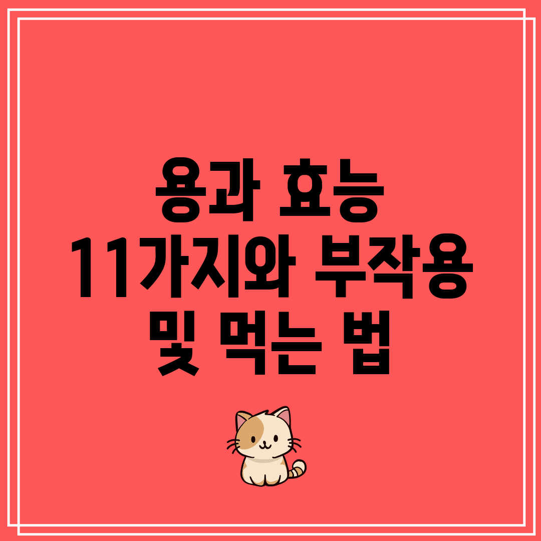 용과 효능 11가지와 부작용 및 먹는 법