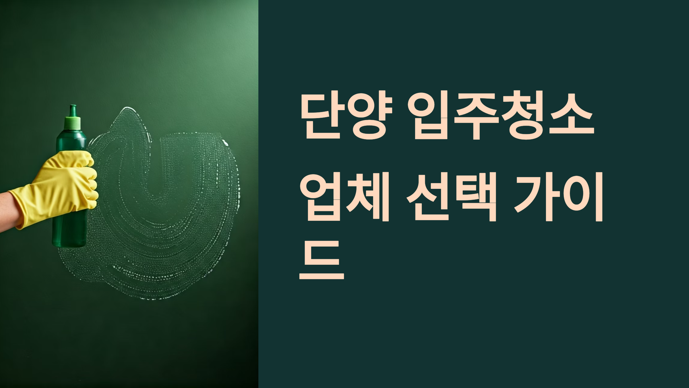 단양 입주청소 업체 대표이미지