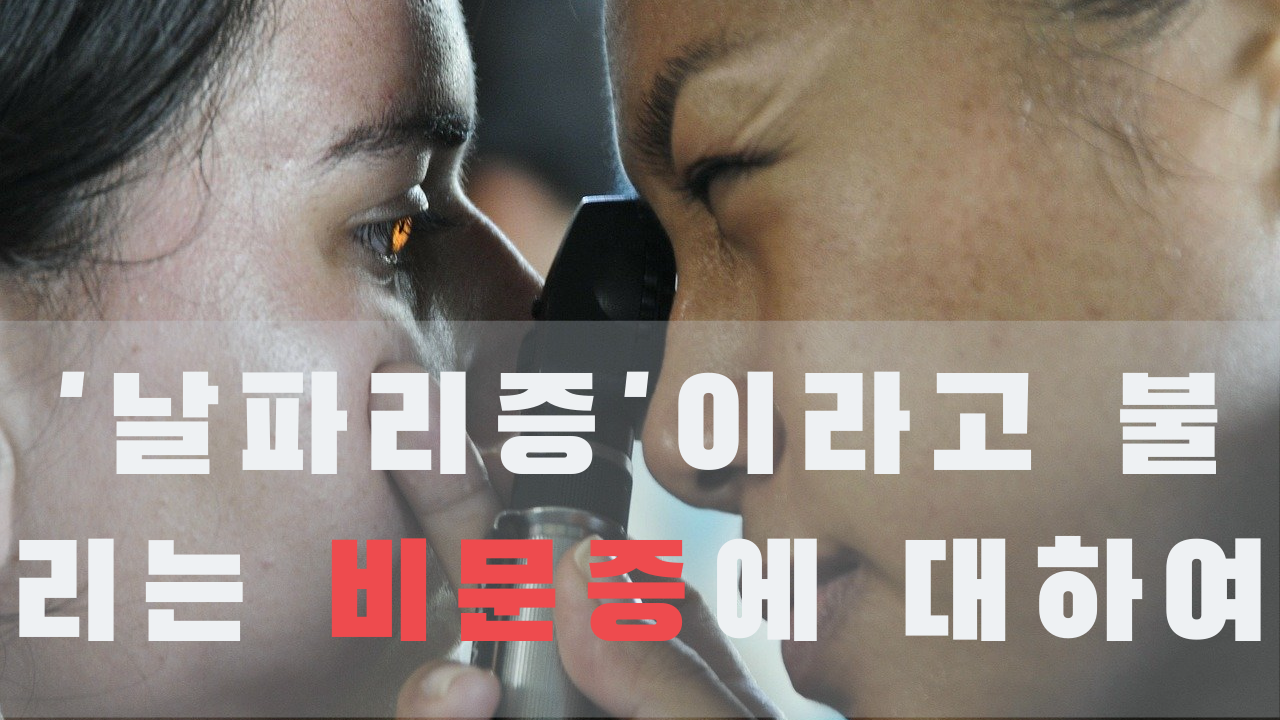  날파리증이라고 들어봤니? 비문증에 대한 원인과 증상 치료방법까지 모두 알아보자.