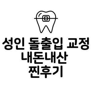 성인 돌출입 교정 후기 : 최악의 7개월 차 - 아래 잇몸 나사 식립과 사랑니 발치 성인 돌출입 교정 후기 : 최악의 7개월 차 - 아래 잇몸 나사 식립과 사랑니 발치