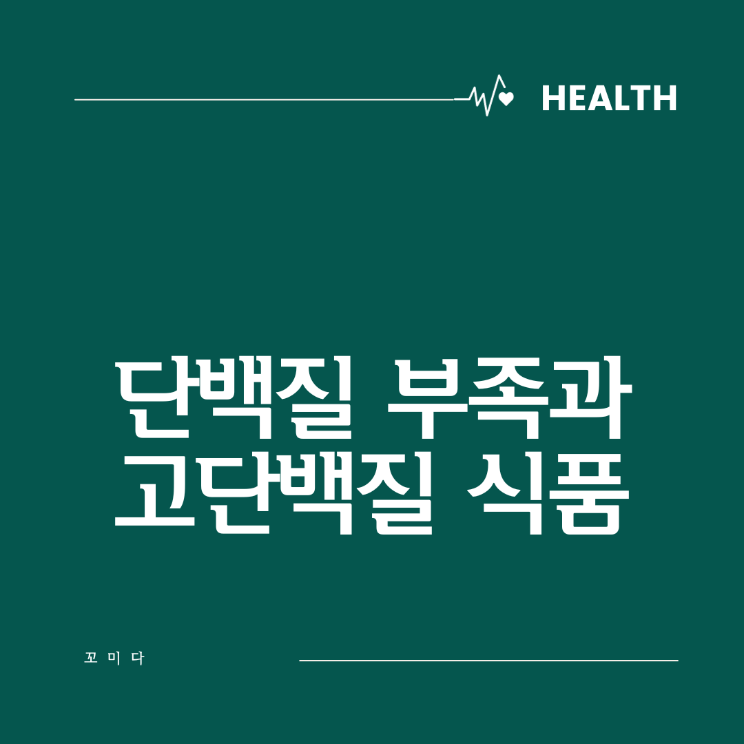  간편하게 고단백질 섭취하는 방법과 단백질 부족 예방