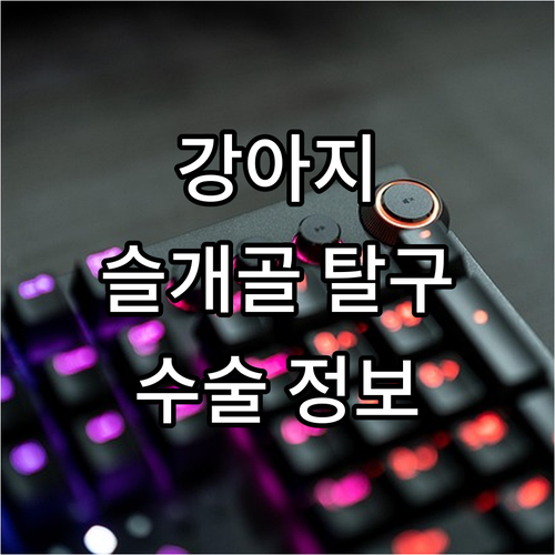 강아지 슬개골 탈구 수술, 후회없는 
