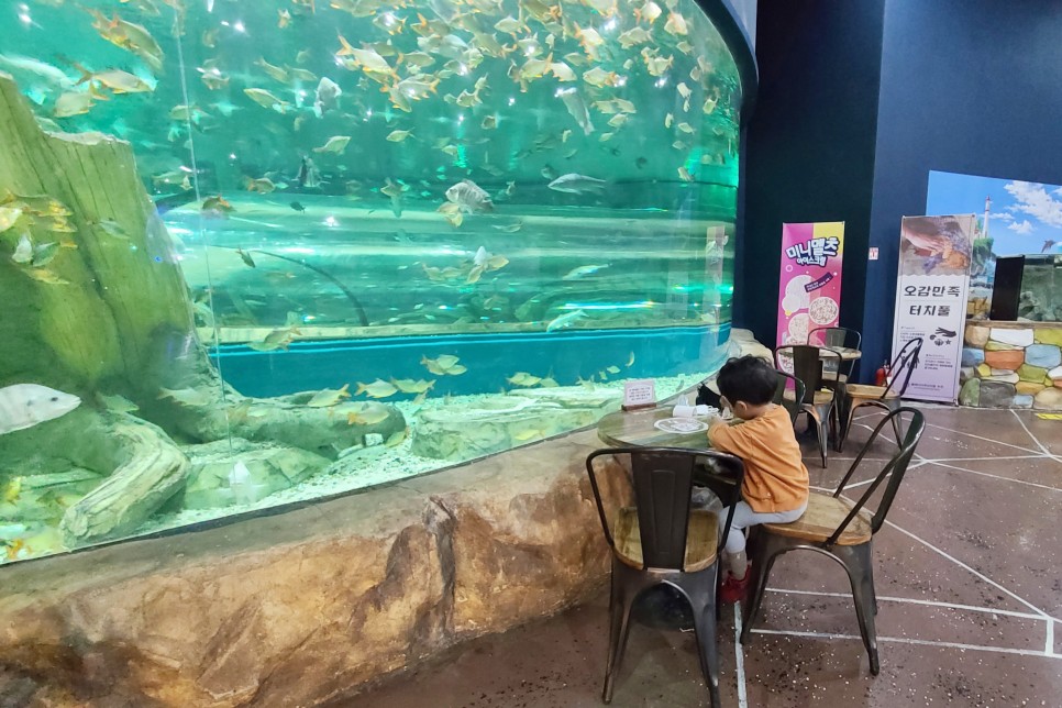 부천 아쿠아리움 부천 아쿠아리움먹이주기 체험 16