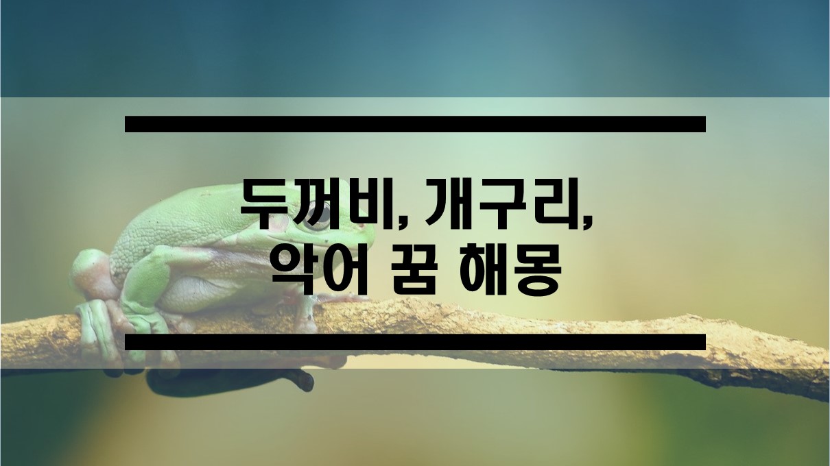  두꺼비 꿈해몽과 개구리, 악어 꿈 해몽