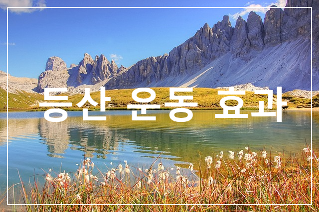  다이어트에 매우 효과 적인 운동 등산,유의사항
