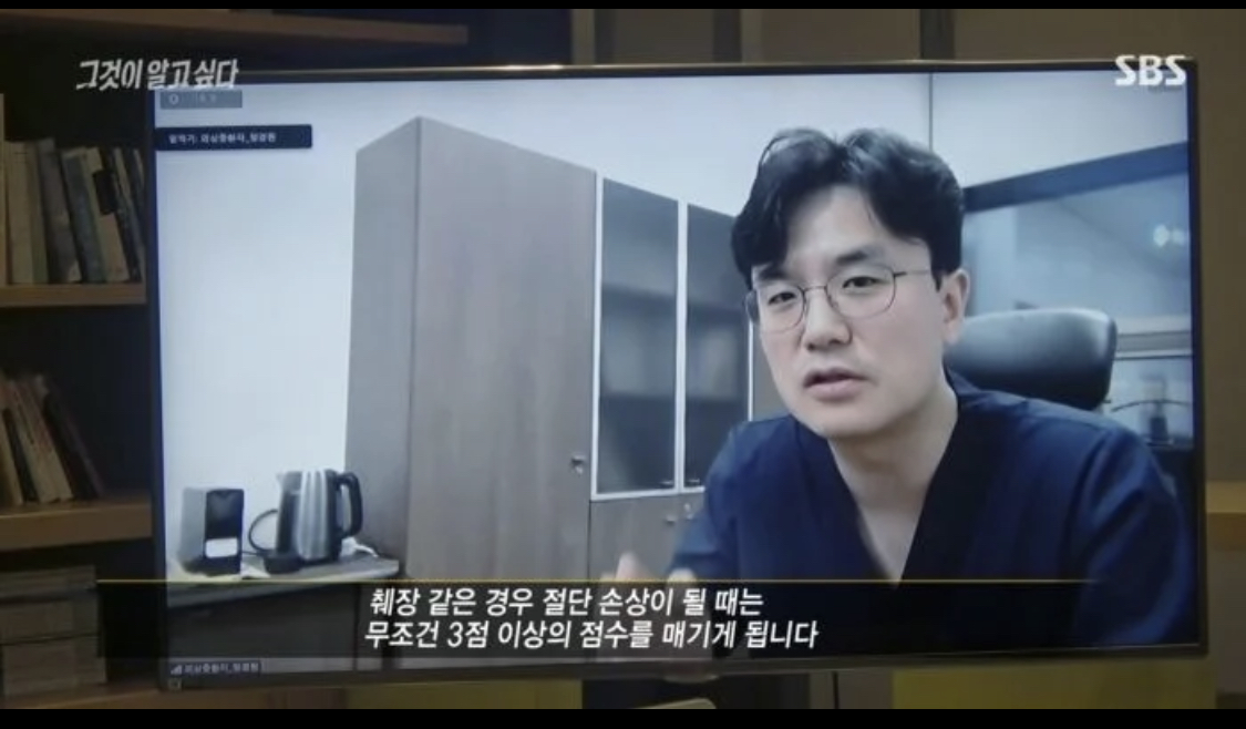 16개월 정인이 그것이 알고싶다 췌장 절단 실험