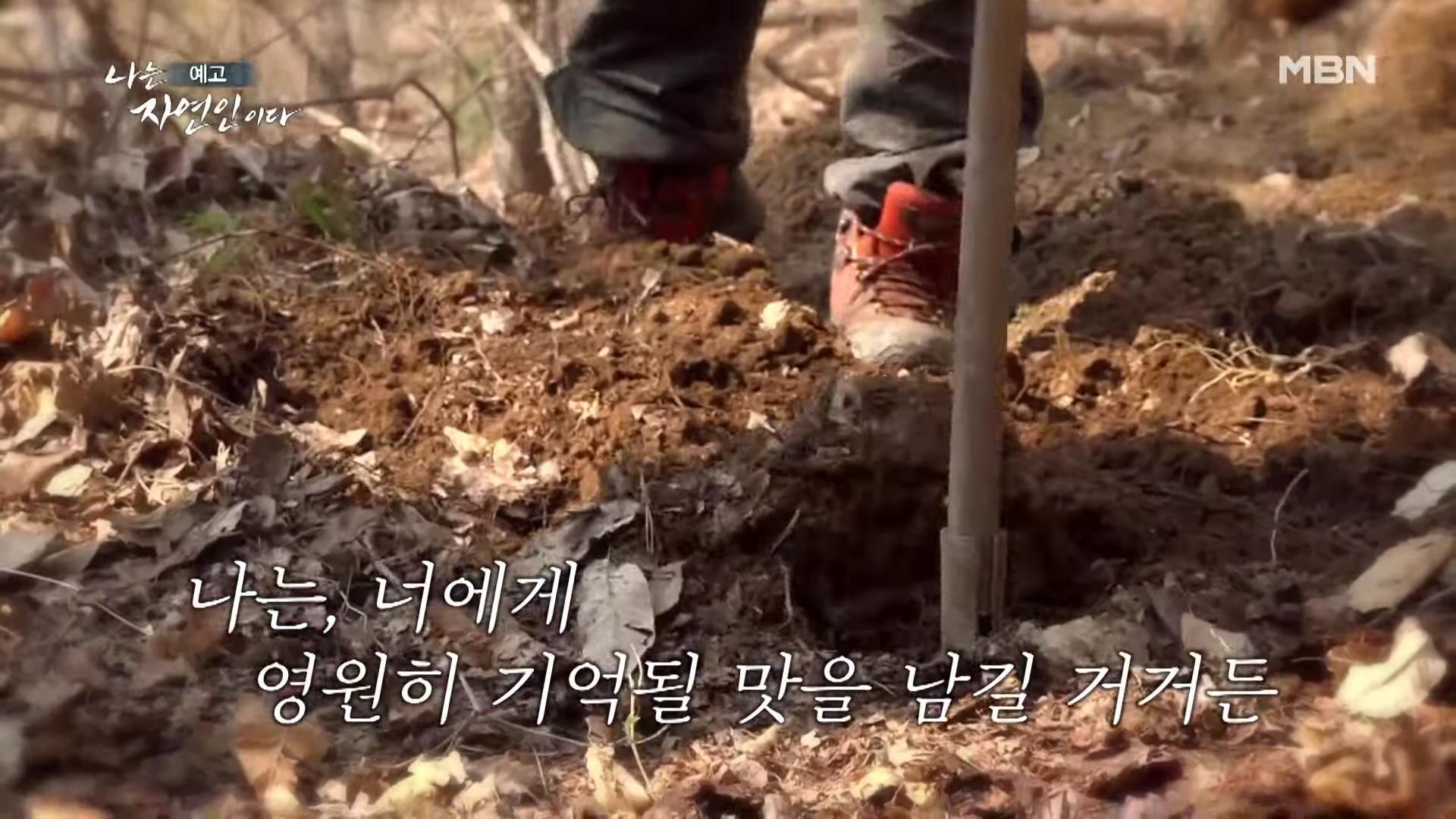 나는 자연인이다 중국집 갈비집 고기집 수타 콩 짜장면 두부 멘보샤 이 맛에 산에 살지요 자연인 조춘행 소개 및 이승윤 출연 550회 다시보기