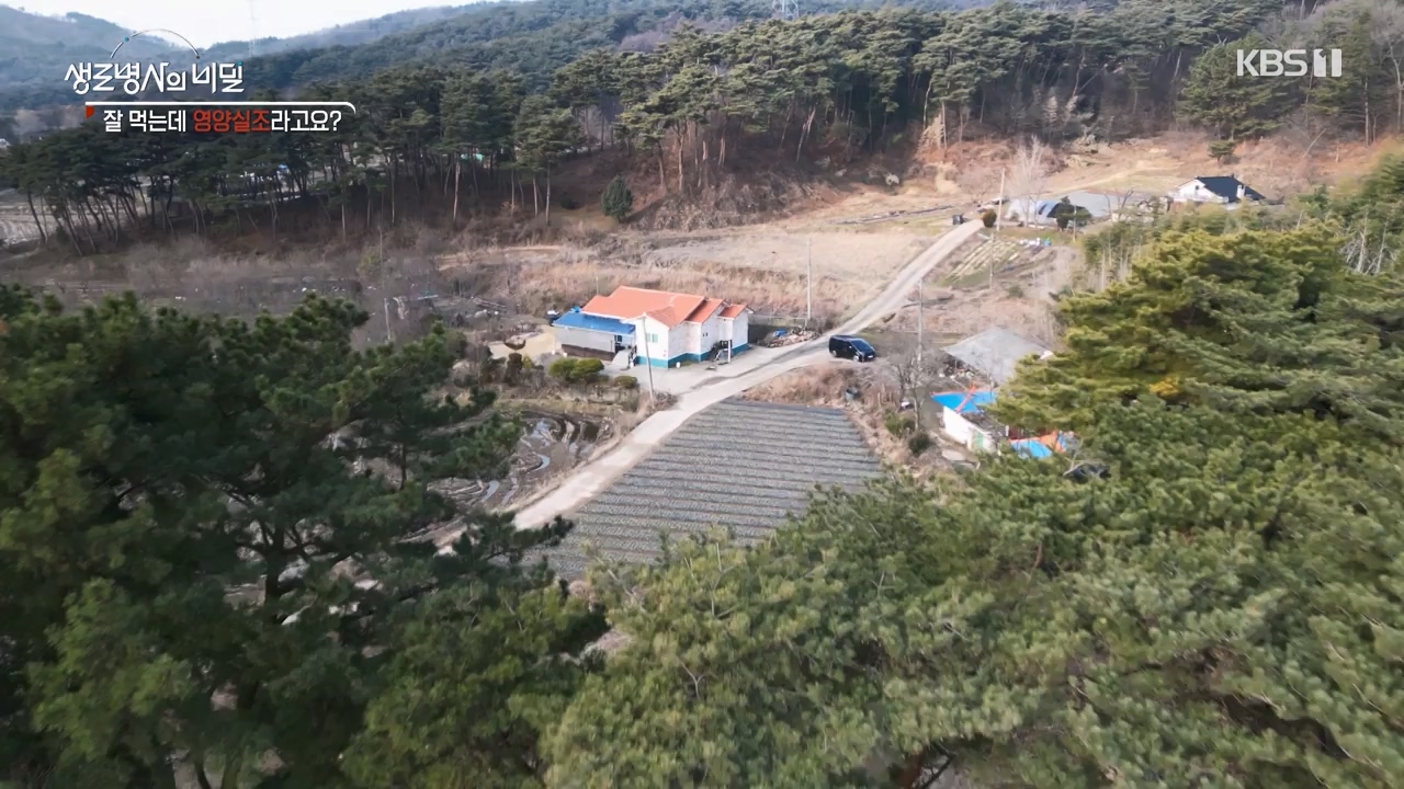 생로병사의 비밀.E906.240328p-NEXT.mp4_20240328_210410.963.jpg