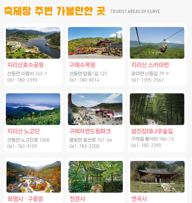 구례 산수유축제 기간 (2025년 개화시기) 안내