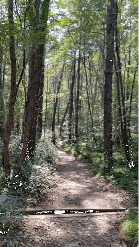 직소 [부안/변산면] : 변산반도국립공원 24