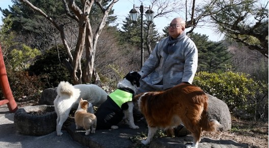 한국기행-도선사-혜암스님-열네마리보살