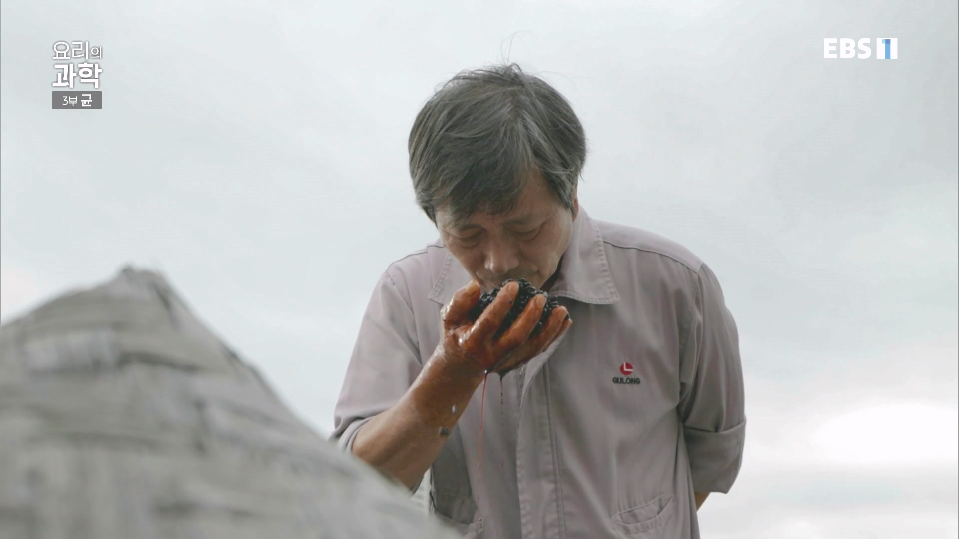 EBS 다큐프라임.201207.요리의 과학 - 3부 균0p.mp4_20240411_202628.441.jpg