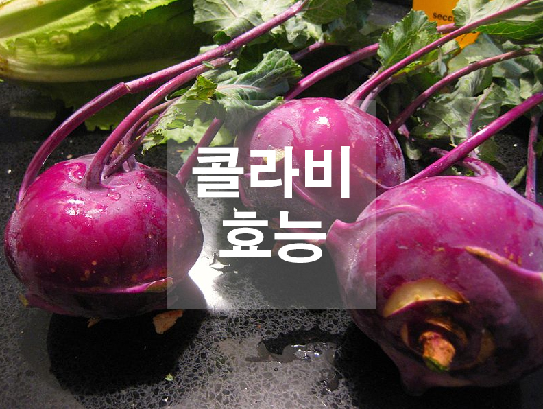  콜라비 효능