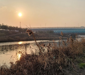 지분변동-주식-액면가-공시-용어