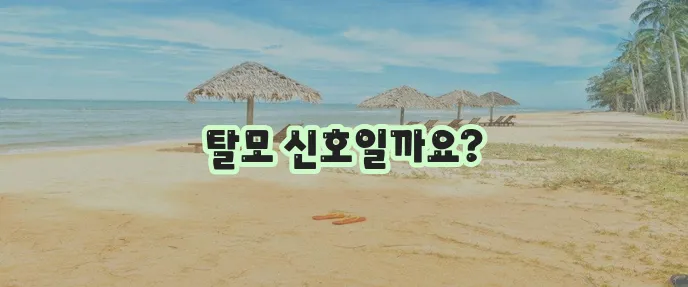 머리카락이 갑자기 많이 빠진다면 탈모 초기증상일 수 있습니다!