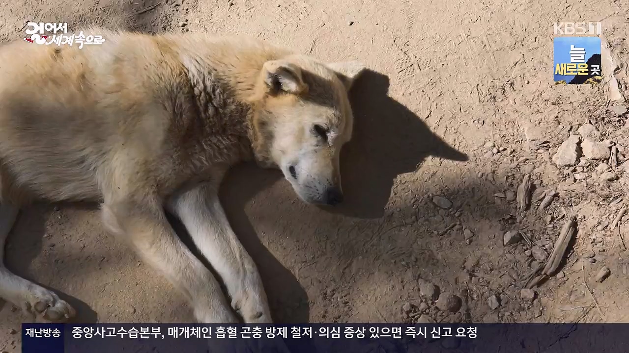 걸어서 세계속으로.E819.231126p-NEXT.mp4_20231126_175512.453.jpg